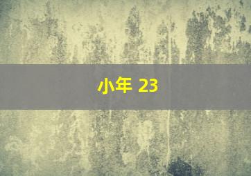 小年 23